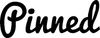The word 'Pinned' written in a black cursive script font on a solid white background.